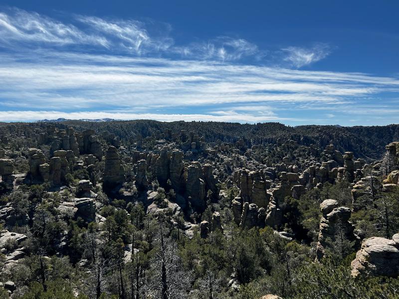 Chiricahua